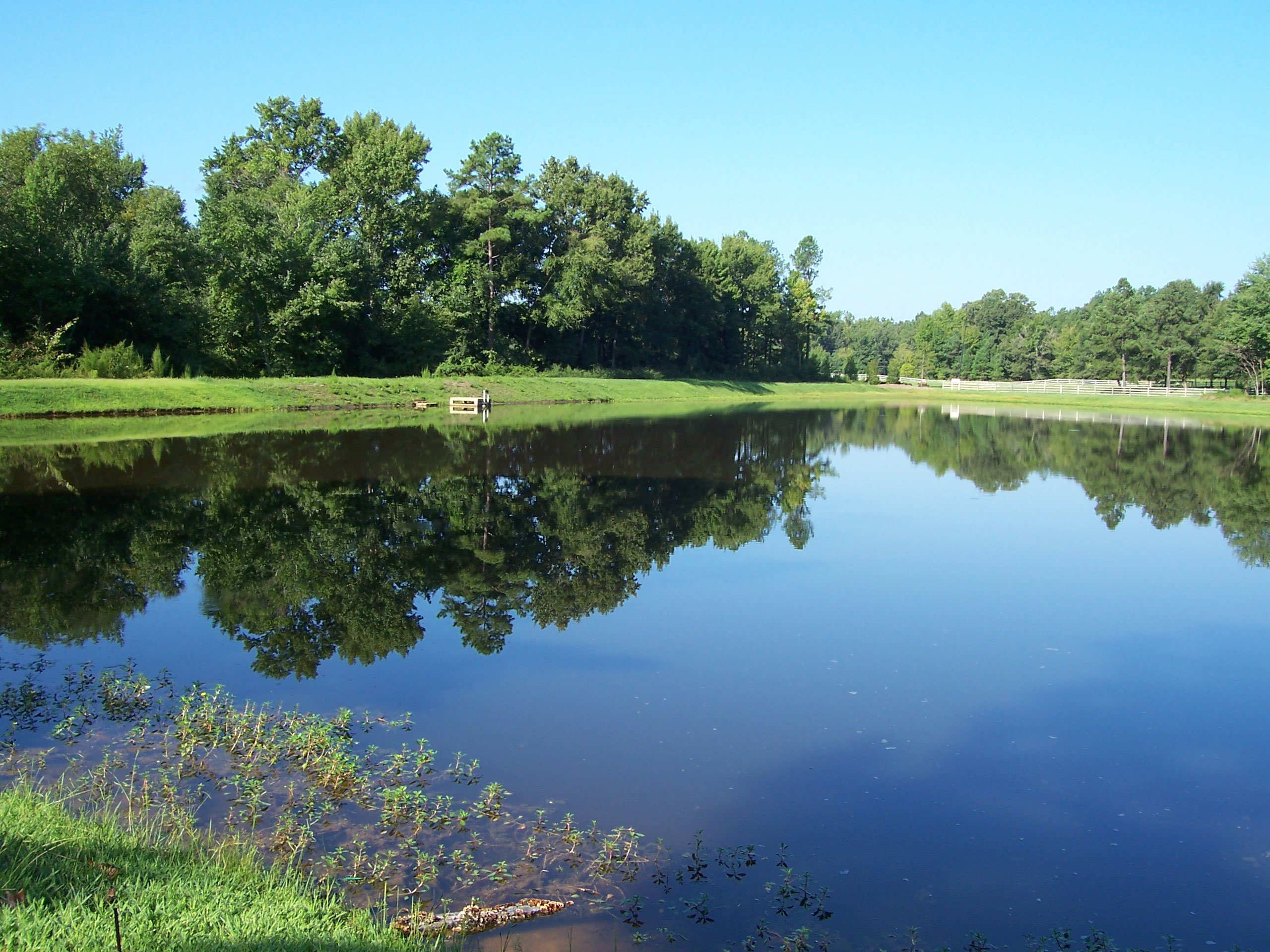 Wet Detention Pond